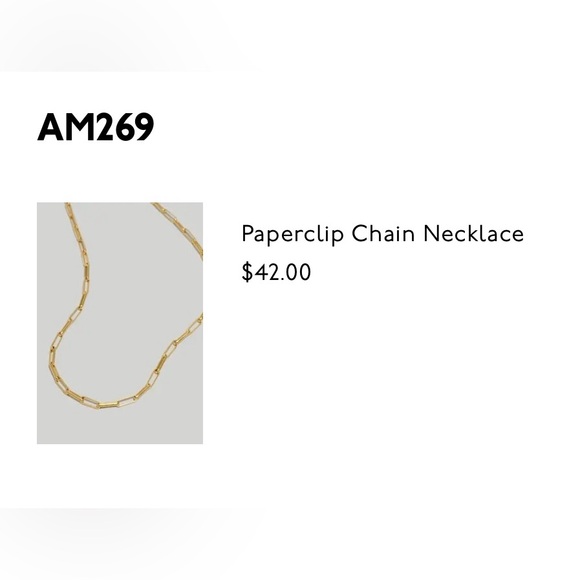 Madewell paperclip chain necklace - Picture 11 of 16